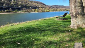 A grassy area with a bench and a tree, overlooking a river and a bridge.