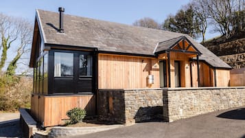 Iron/ironing board, free WiFi