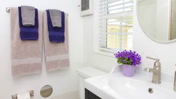 Shower, hair dryer, towels, soap