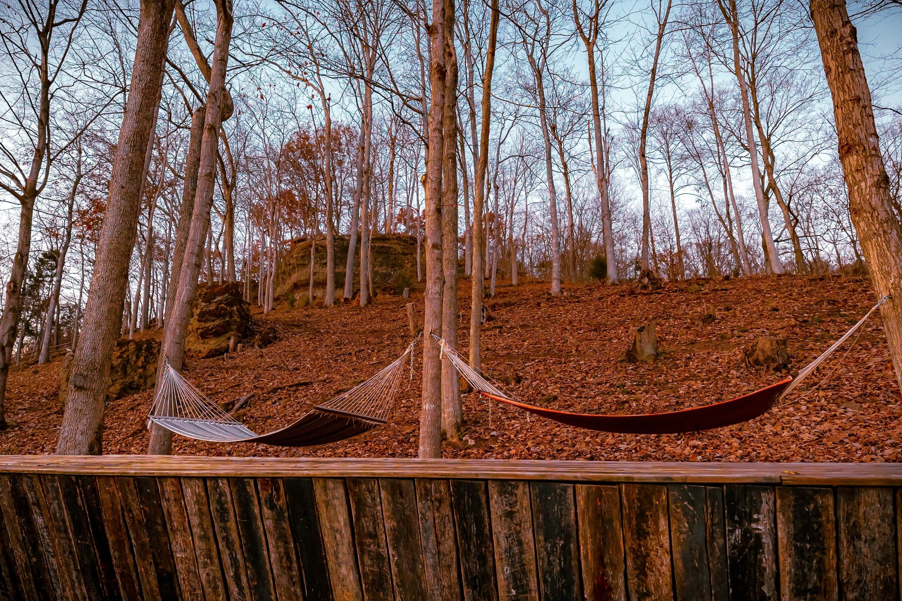 A hammock set up between two trees in a forested area with a wooden deck in the foreground.