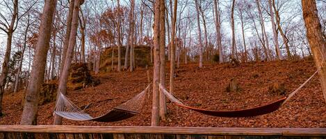A hammock set up between two trees in a forested area with a wooden deck in the foreground.