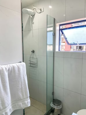 Shower, towels, toilet paper