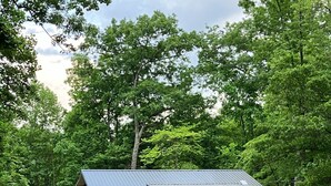 Eine Hütte mit Veranda, umgeben von Bäumen.