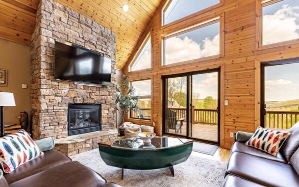 Smart TV, fireplace, books