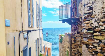 Sublime atypical apartment with terrace in the heart of ERBALUNGA