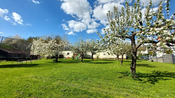 Un'area verdeggiante con alberi, un'area giochi e un edificio sullo sfondo.