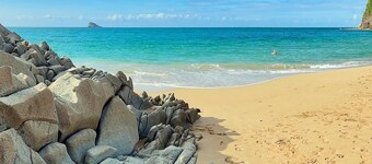 Rejuvenate at Villa Colibri, pool overlooking the forest & Caribbean Sea!