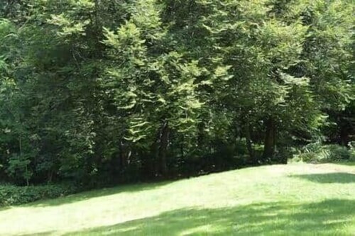 Pause Nature 30N _ living in nature in peace and quiet