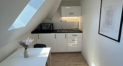 Top-floor hideaway for two in Karlsruhe-MĂŒhlburg - APOLONIAliving