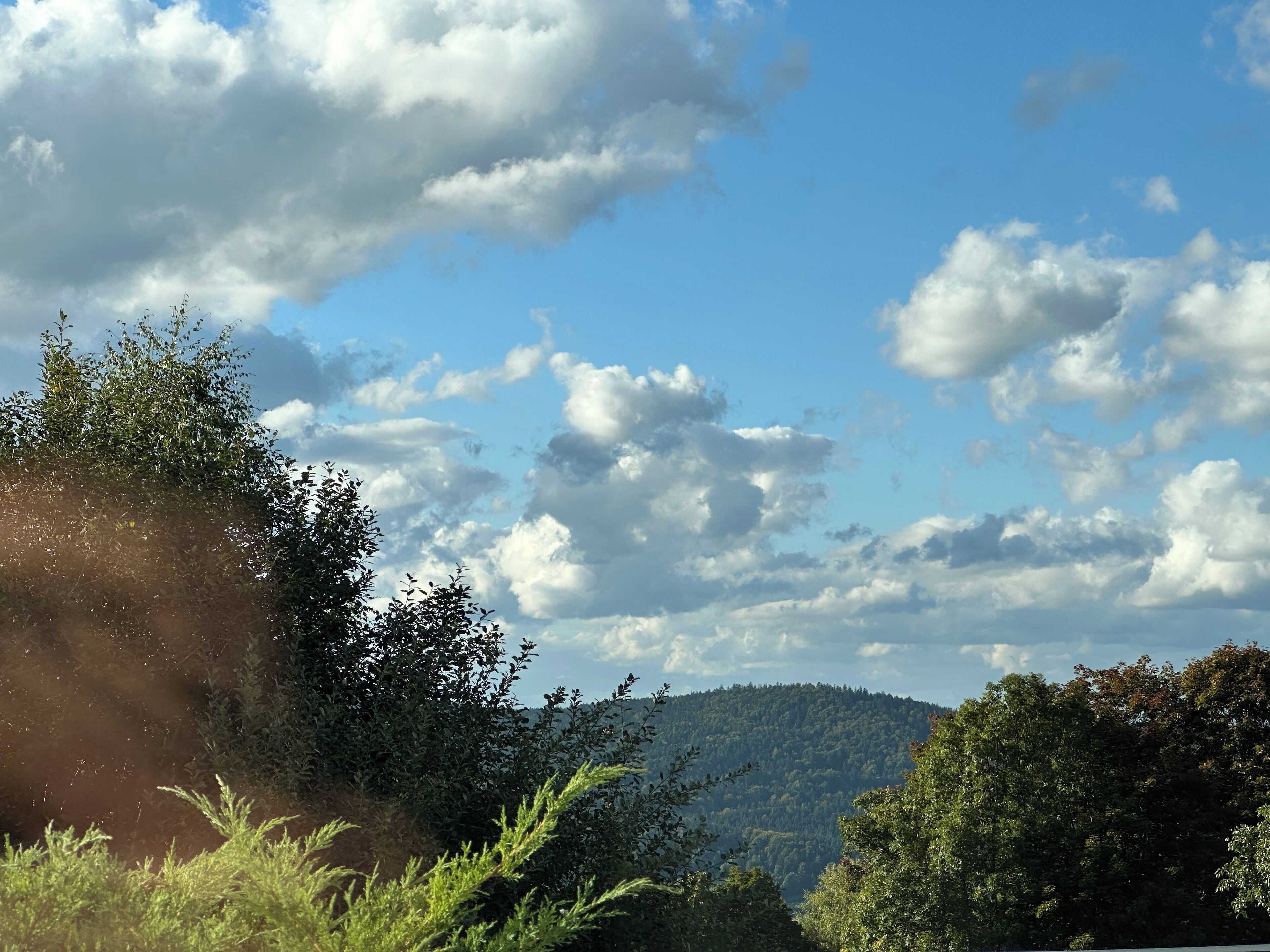 A landscape with a mountain in the background, trees in the foreground, and a partly cloudy sky.