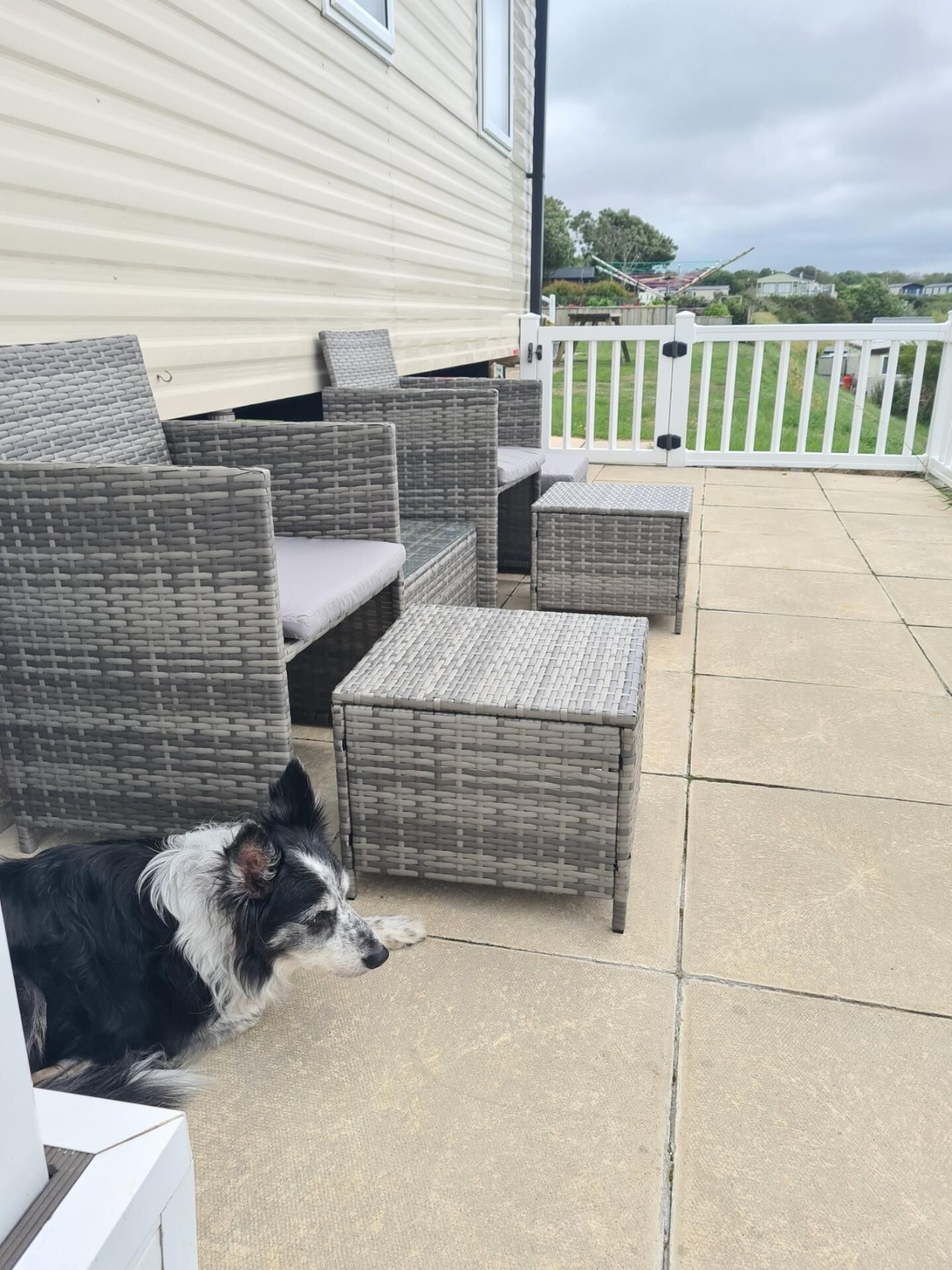 A patio with wicker furniture and a dog.