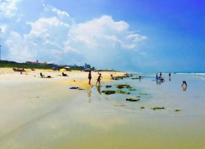 Beach - Ocean breeze 3bd/2ba Apt with Amazing views amenities in delightful Palm Coast (Palm Coast)