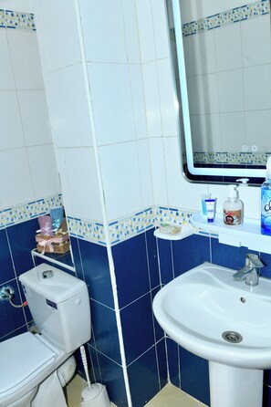 Haartrockner, Handtücher, Seife, Toilettenpapier