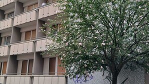 A multi-story residential building with balconies, a tree with pink flowers, and a parked car. - FAMILY APARTMENT VERY CLOSE TO SAN GIULIANO HOSPITAL (Novara)