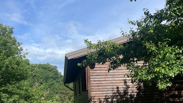 Eine Holzhütte mit einem Balkon, umgeben von üppiger Vegetation und einem Steinweg.