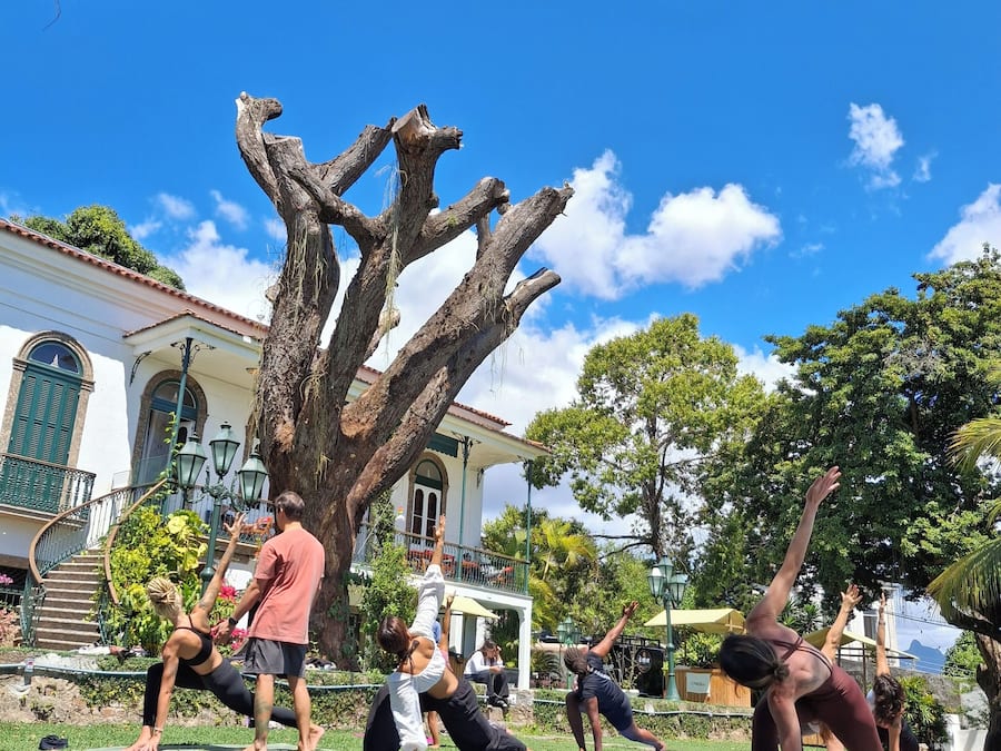 A group of people performing yoga outdoors in a grassy area with a large tree and a building in the background.