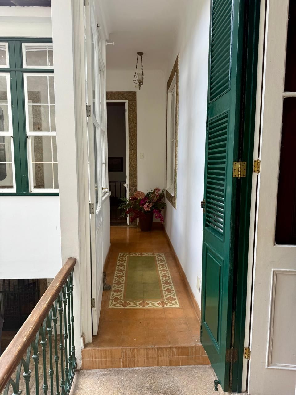 Un couloir étroit avec un plancher en bois, des portes vertes et une plante en pot.