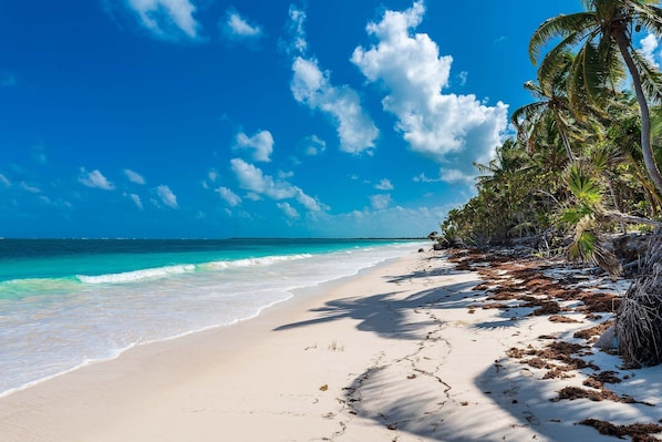 Luxury Villa | Beach | Private beach, white sand, sun-loungers, beach towels