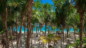 Una playa con palmeras y un cielo azul despejado.