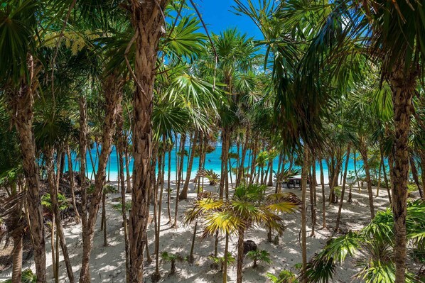 Luxury Villa | Beach | Private beach, white sand, sun loungers, beach towels - Casa Nah Balam (Tulum)