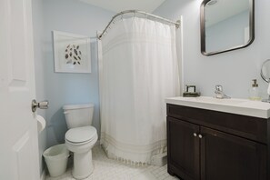 Chuveiro, secador de cabelo, toalhas de banho, sabonete