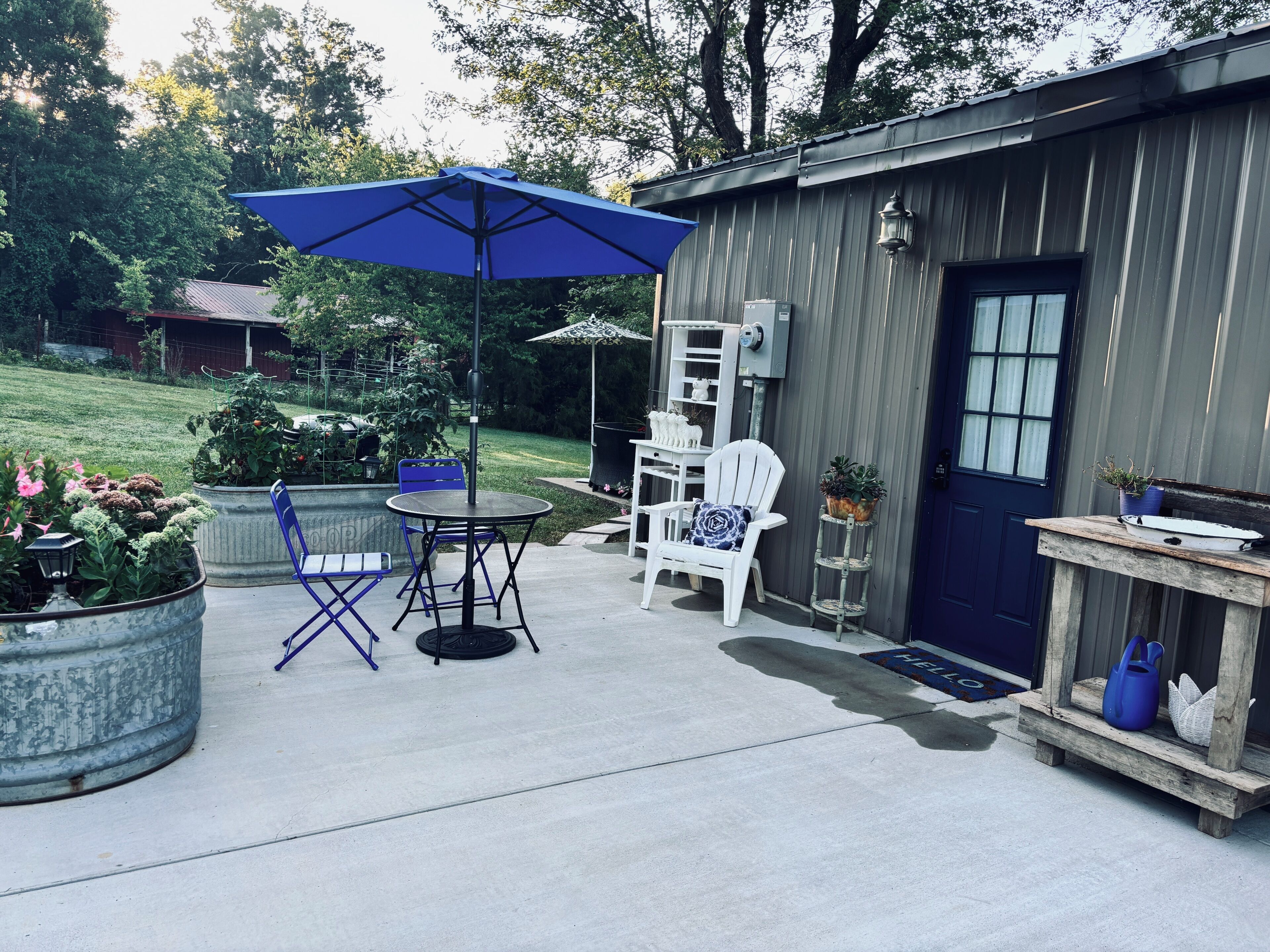 An outdoor patio area with a table and chairs, a blue umbrella, and a small shed with a door.