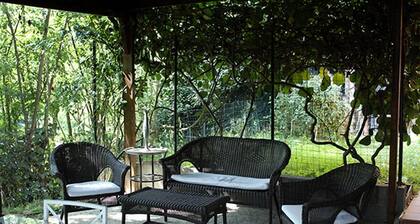 The Little House in the Park.