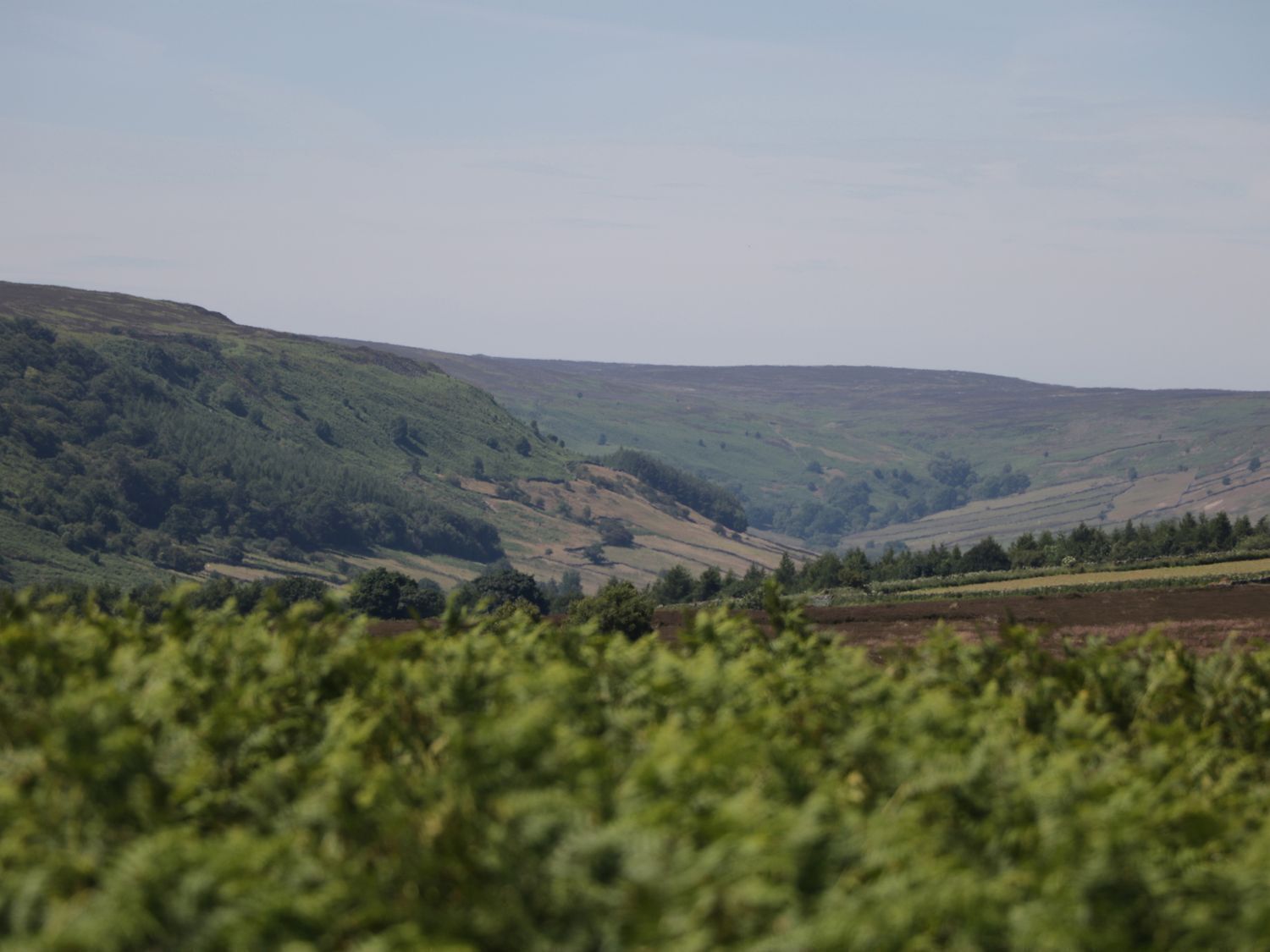 A rural landscape with rolling hills and a field in the foreground.