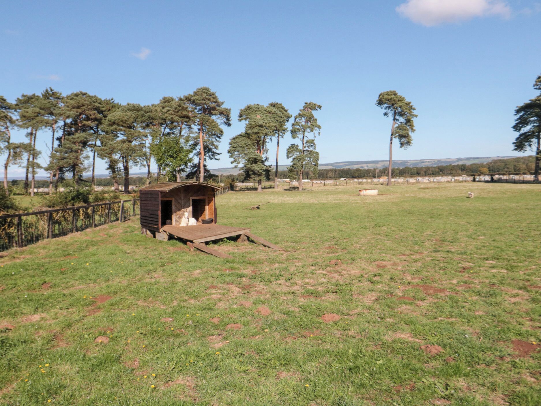 A rustic wooden structure with a ramp leading up to it, situated in a grassy field with trees in the background.