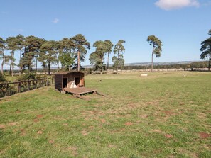 Cottage | Property grounds - West Cottage (Malton)