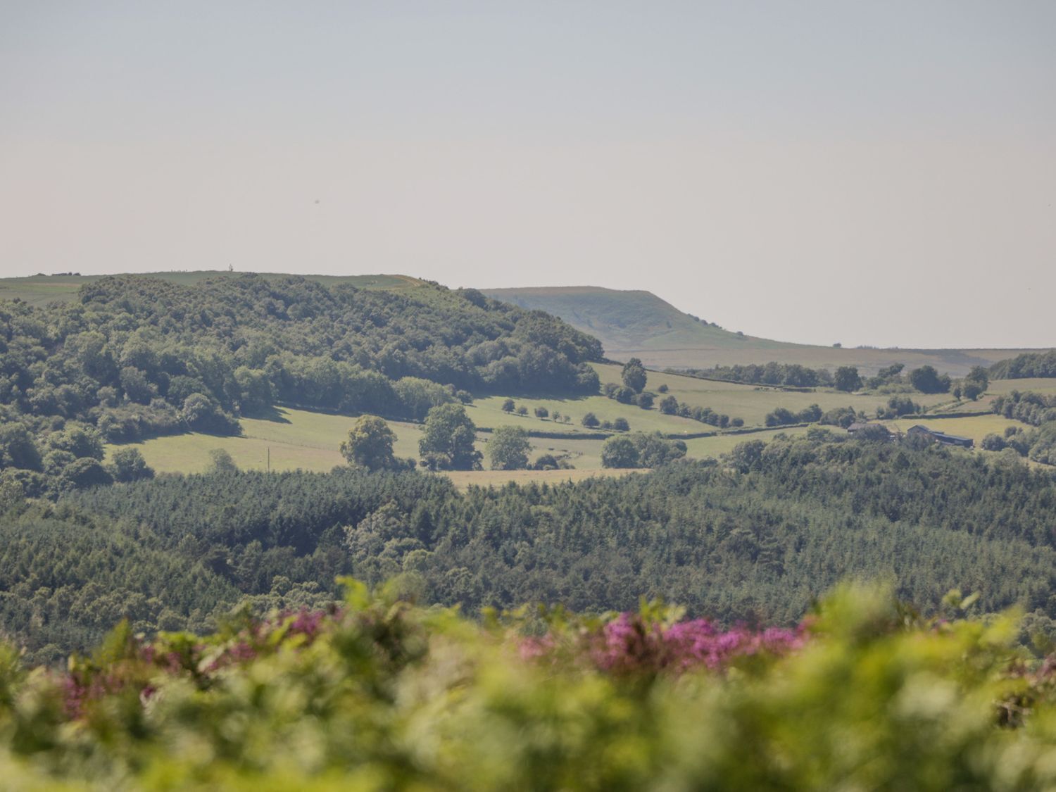 Un paisaje rural con colinas ondulantes y bosques densos.