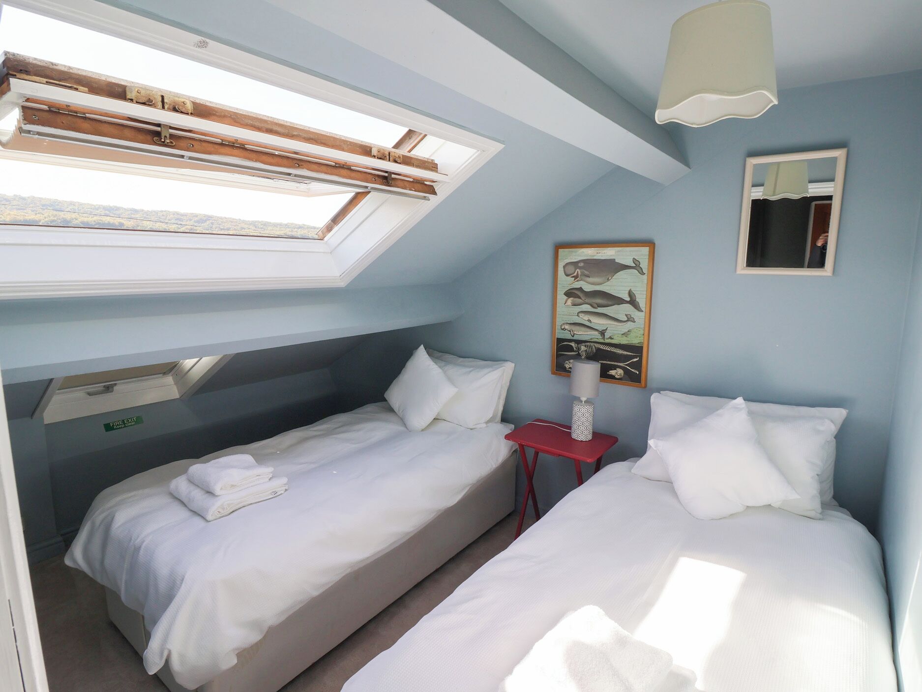 A bedroom with two beds, a skylight, a fire exit sign, a framed marine life picture, and a bedside lamp.