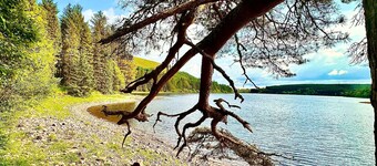 Brecon Beacons Cottage with Cinema Room, Sleeps 5