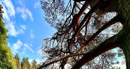 Brecon Beacons Cottage with Cinema Room, Sleeps 5