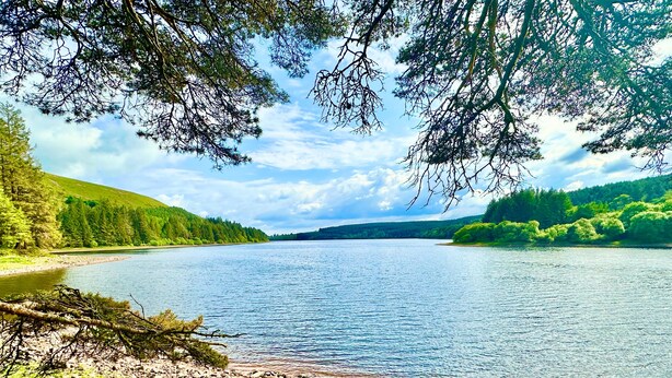 Un fiume con un litorale roccioso e una fitta foresta su entrambe le sponde.
