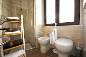 Shower, hair dryer, bidet, towels