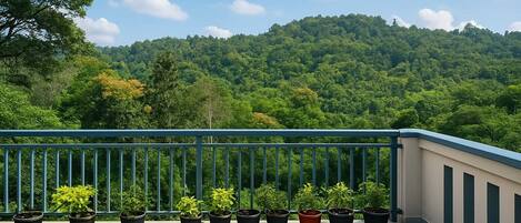 Superior Double Room, Balcony, Valley View | Terrace/patio