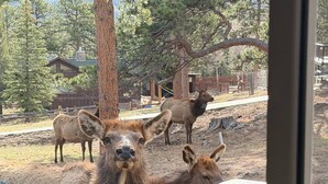 A window view of a building with a wooden deck, a tree, and a fence in the background. - Whispering Pines Getaway with hot tub, large deck, game room and wildlife views (Estes Park)