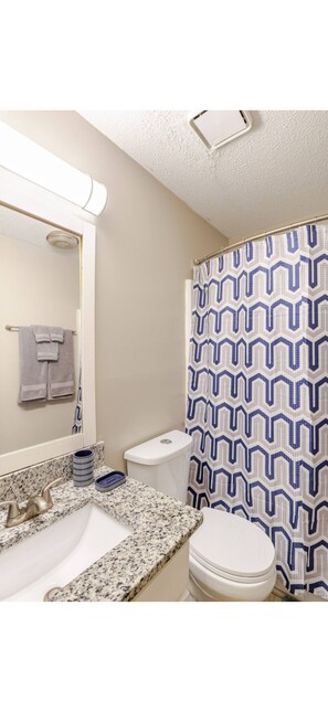 Hair dryer, towels, toilet paper