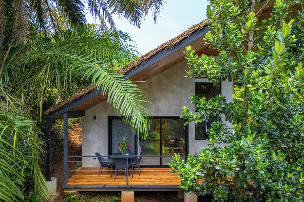 Una casa moderna con terraza de madera, ventanas amplias y abundante vegetación.