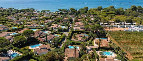 A coastal residential area with multiple houses, swimming pools, and vineyards.