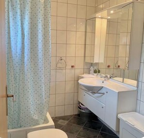 Regadera, secadora de cabello, toallas, papel de baño 