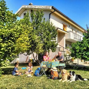 Opções para refeição ao ar livre