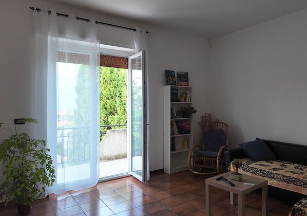 Smart TV, books, computer monitors