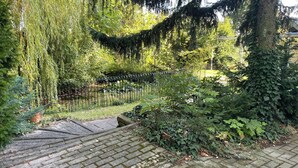 A garden with a brick pathway, a fence, and various trees including weeping willows. - Vacation home-Nature-Elbe-View-Fully equipped (Magdeburg)