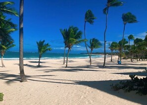 A beach with palm trees and a clear blue sky. - Modern apartment near the beach (Punta Cana)