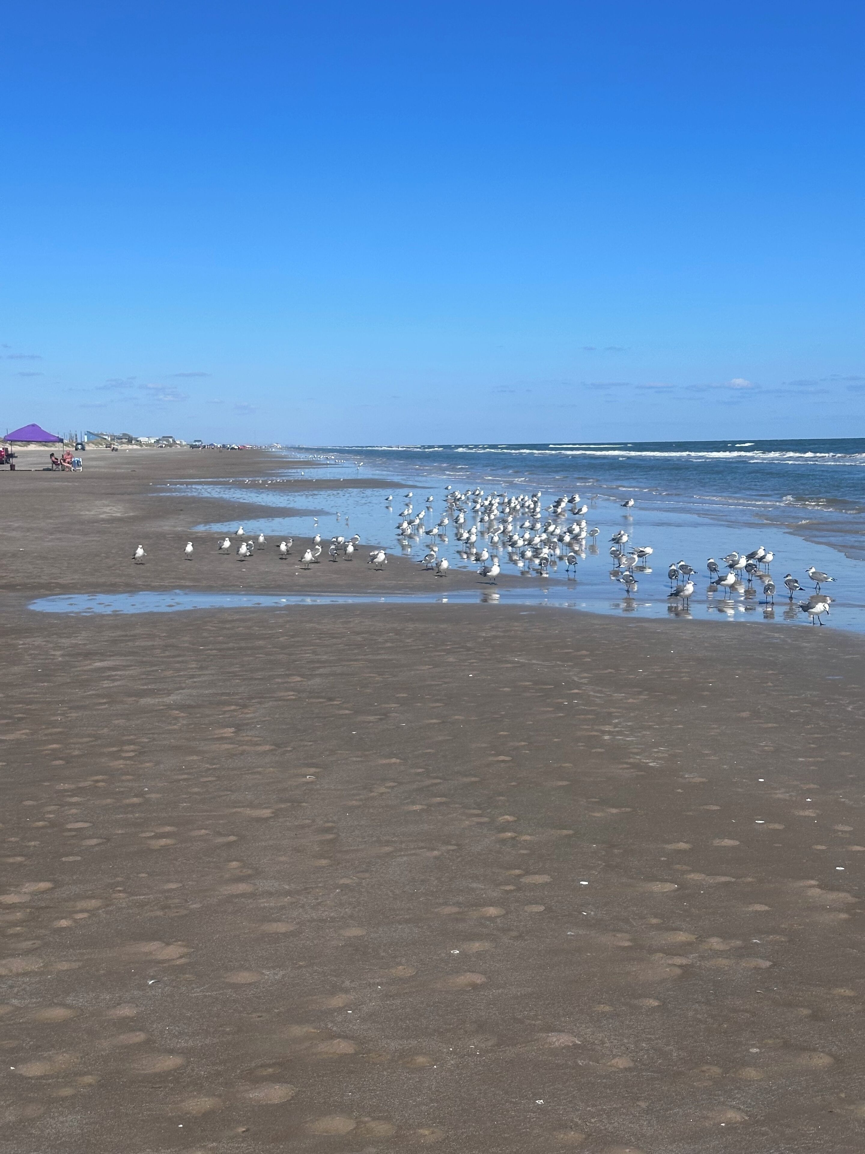 Ranta lähistöllä, aurinkotuoleja