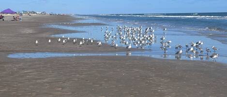 In Strandnähe, Liegestühle