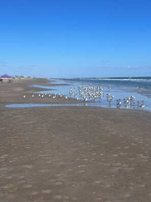 In Strandnähe, Liegestühle