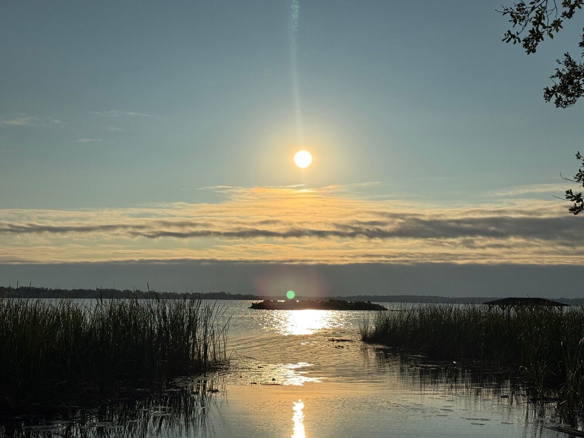 Ein Sonnenuntergang über ruhigem Wasser mit Reflexionen der Sonne, umgeben von hohem Gras und einer fernen Küste.